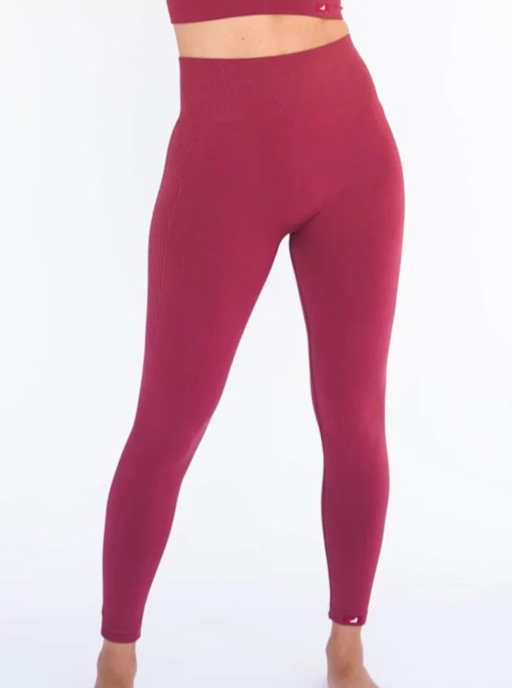 Legging granate monachus seamless